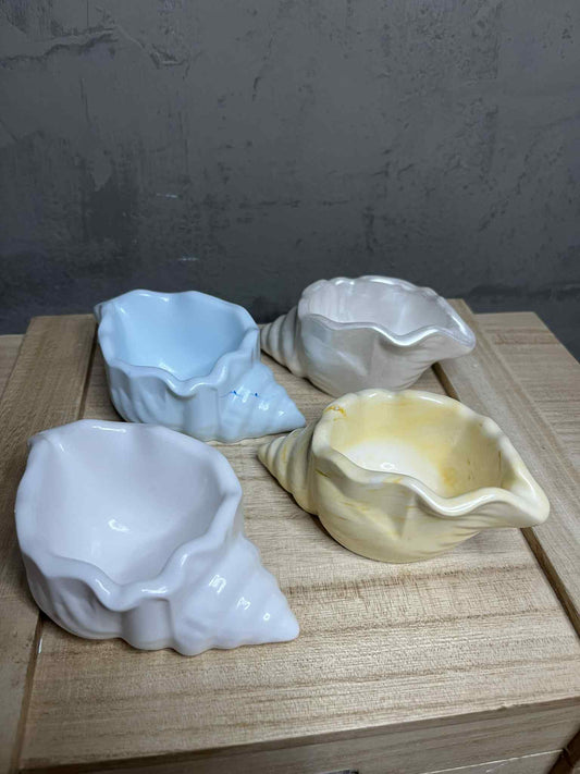 Κοχύλι Πορσελάνης