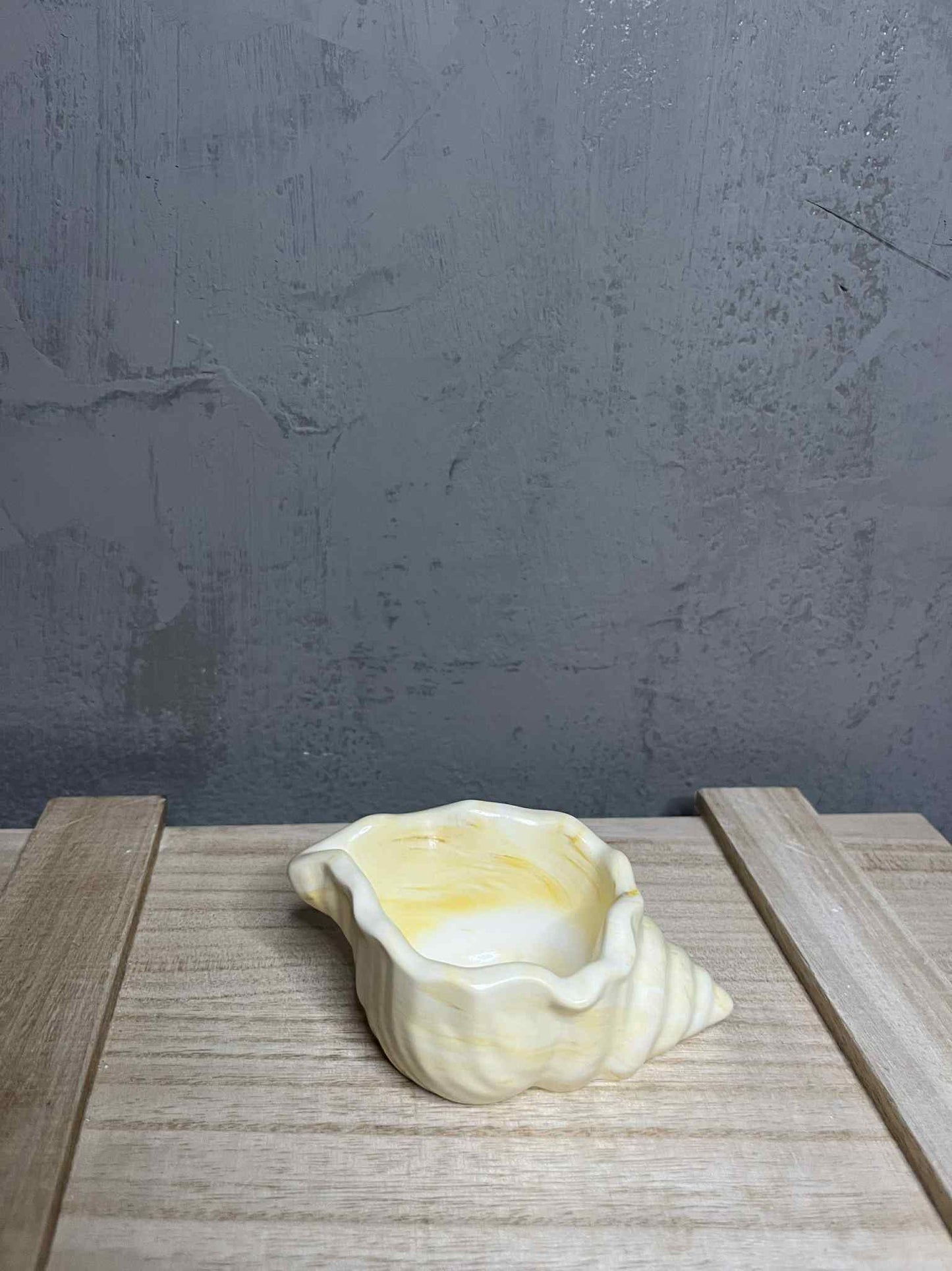 Κοχύλι Πορσελάνης