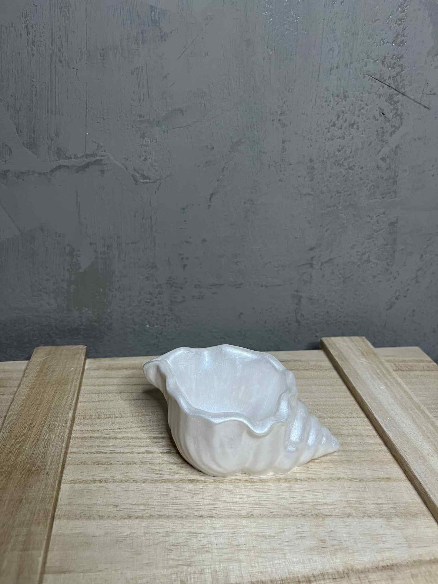 Κοχύλι Πορσελάνης