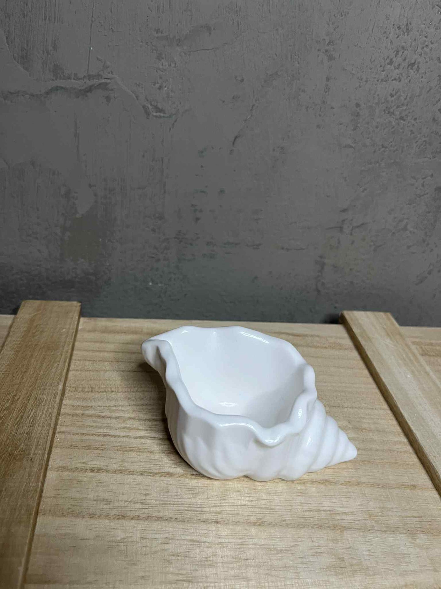 Κοχύλι Πορσελάνης